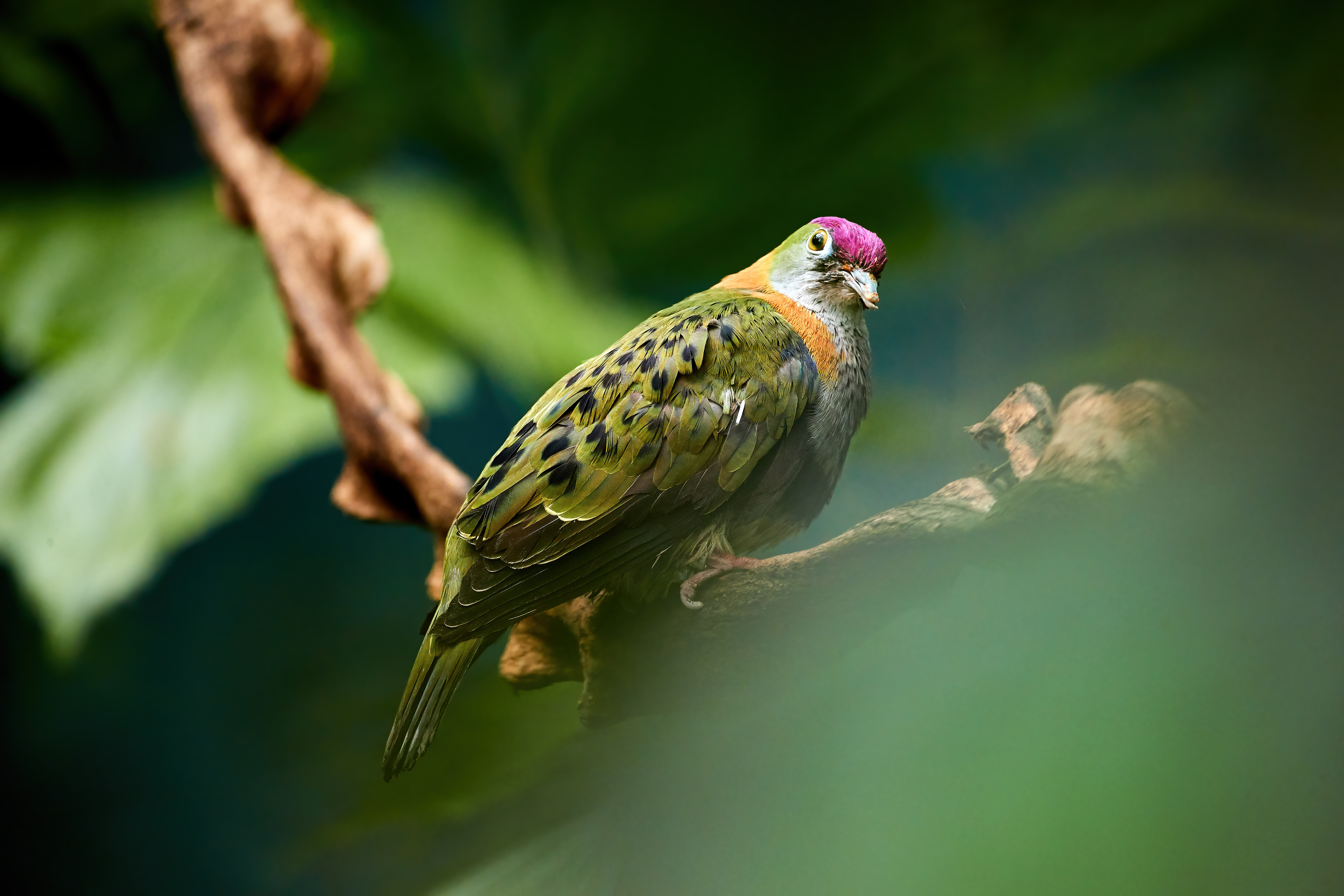 Cruising the Pacific Islands: New Caledonia, Vanuatu & Solomon Islands
